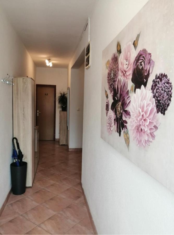 Luka Apartment